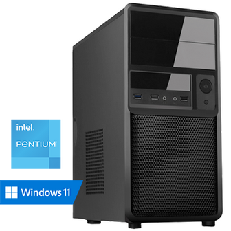 Intel Pentium - 16GB RAM - 500GB SSD - WiFi - Bluetooth - Windows 11 Pro
