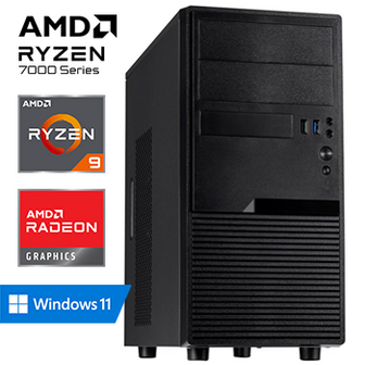 AMD Ryzen 9 7900 - 32GB RAM - 1000GB SSD - WiFi - Bluetooth - Windows 11 Pro